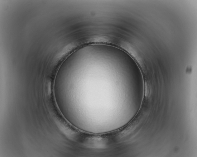 X0000092100253200709191313