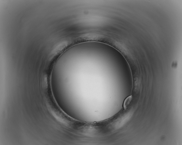 X0000092100254200709191313