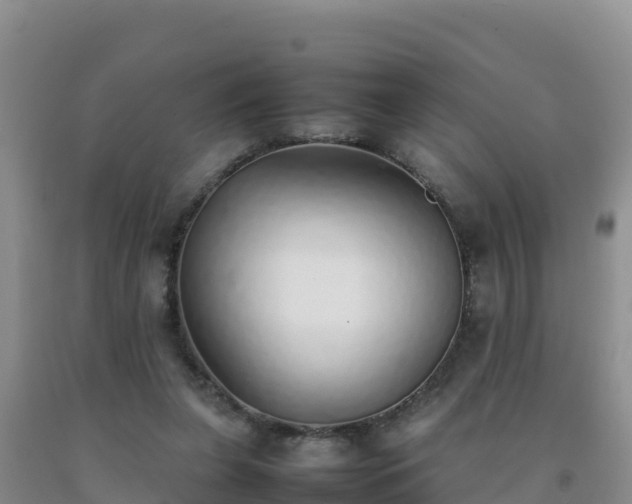 X0000092100255200709191313