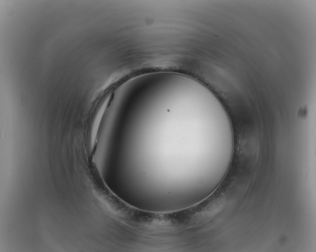 X0000092100256200709191313