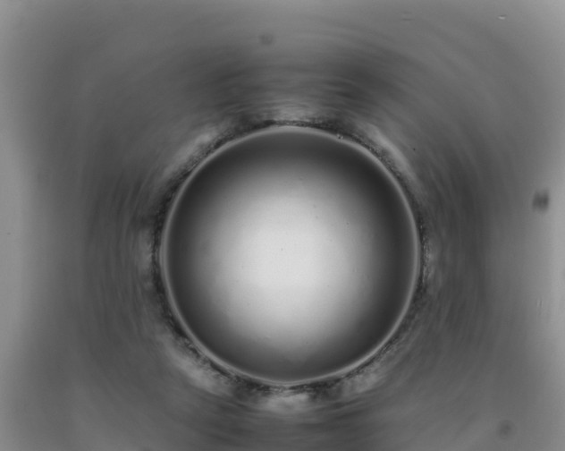 X0000092100257200709191313