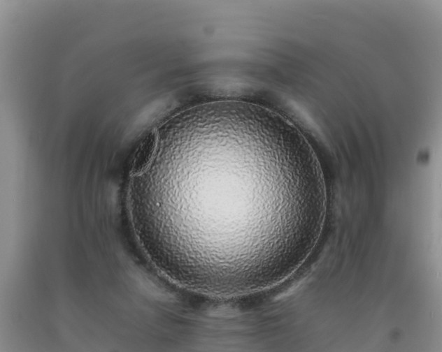 X0000092100258200709191313