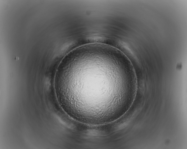 X0000092100259200709191313