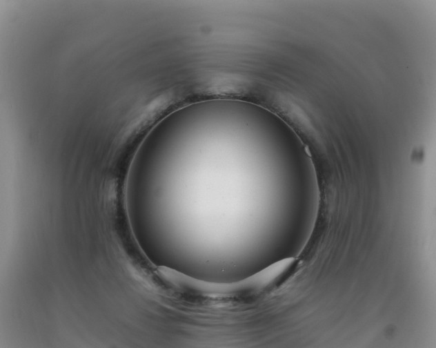 X0000092100260200709191313