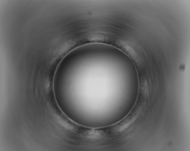 X0000092100261200709191313