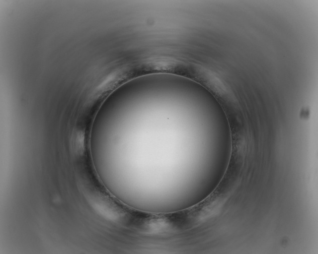 X0000092100262200709191313