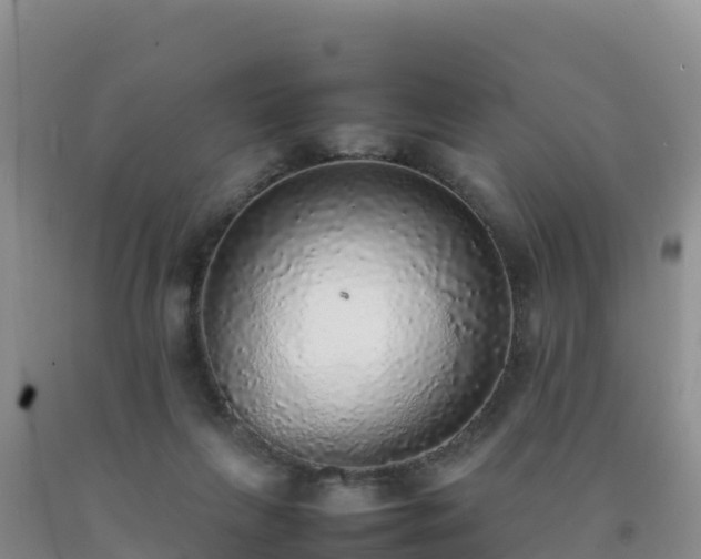 X0000092100263200709191313