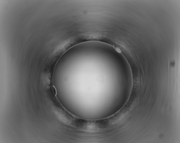 X0000092100264200709191313