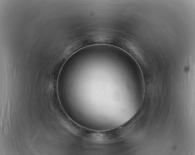 X0000092100265200709191313