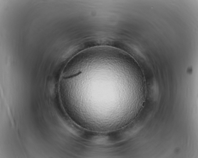 X0000092100266200709191313