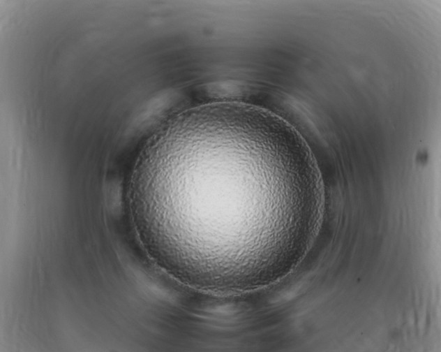 X0000092100267200709191313