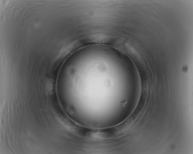 X0000092100268200709191313