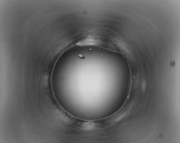 X0000092100269200709191313