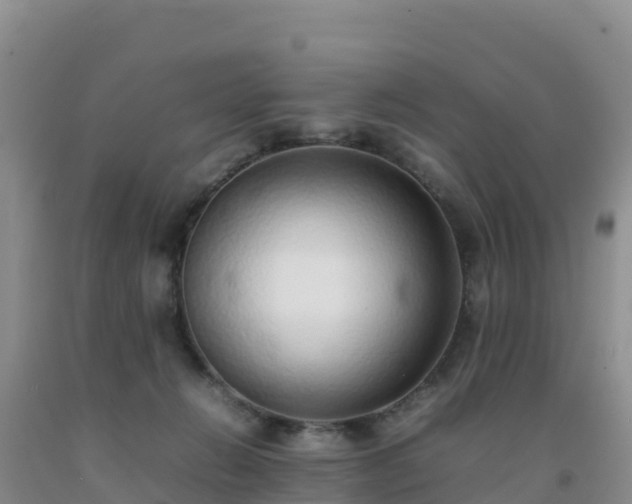 X0000092100270200709191313