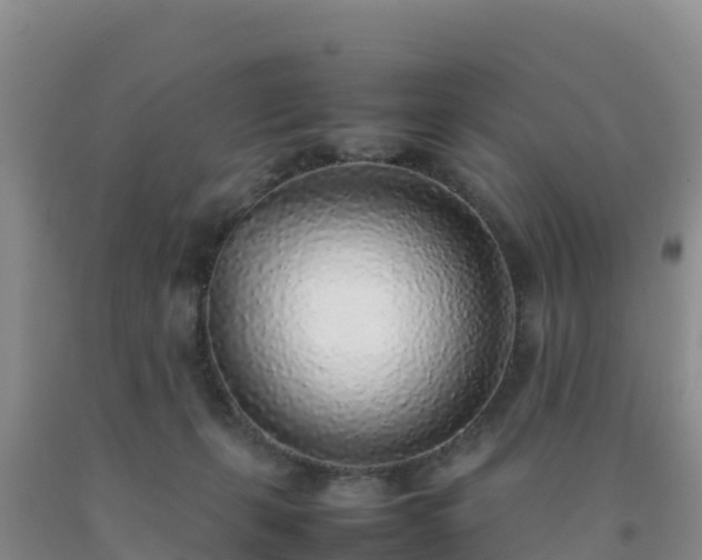 X0000092100271200709191313