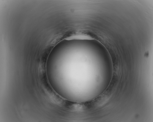 X0000092100272200709191313