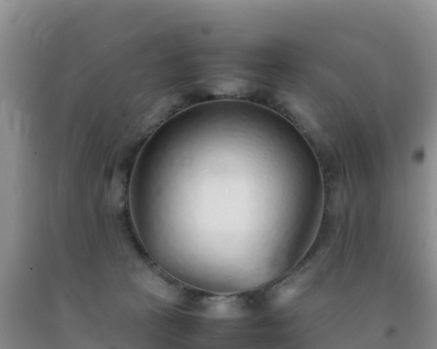 X0000092100273200709191313