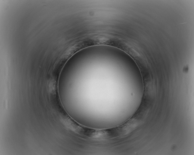 X0000092100274200709191313