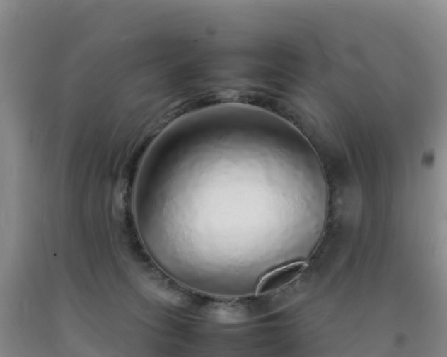 X0000092100275200709191313