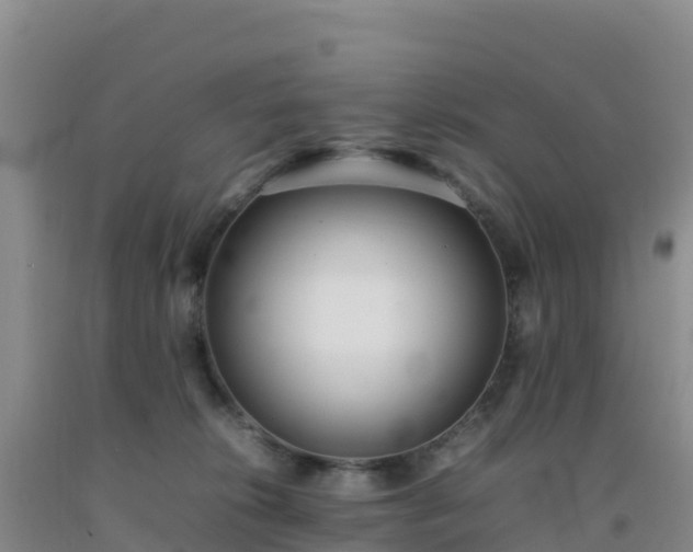 X0000092100276200709191313