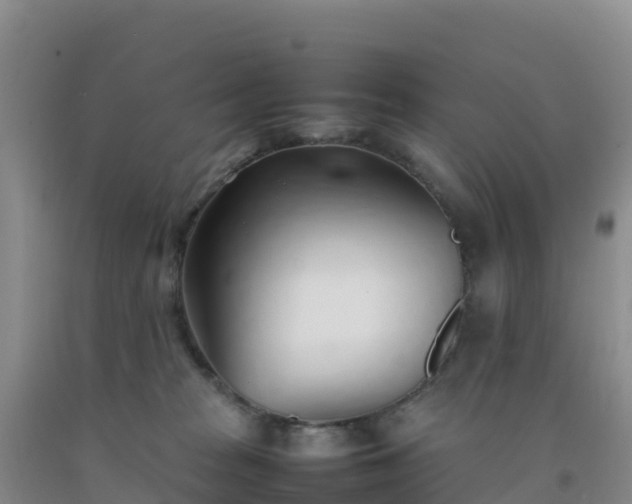 X0000092100277200709191313