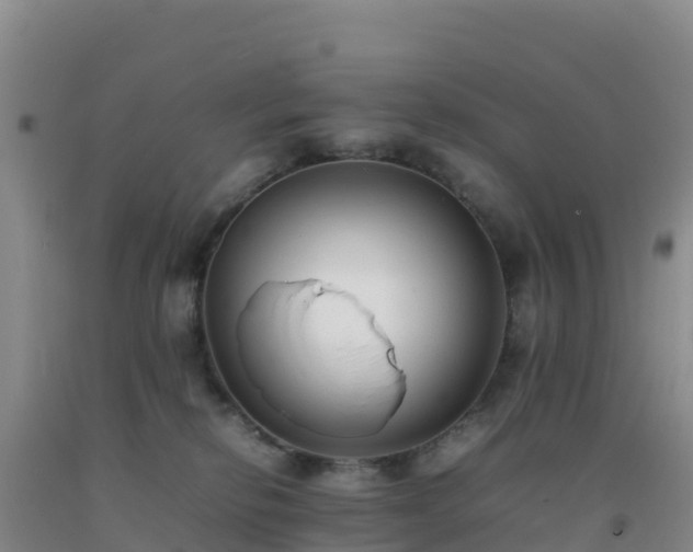 X0000092100278200709191313