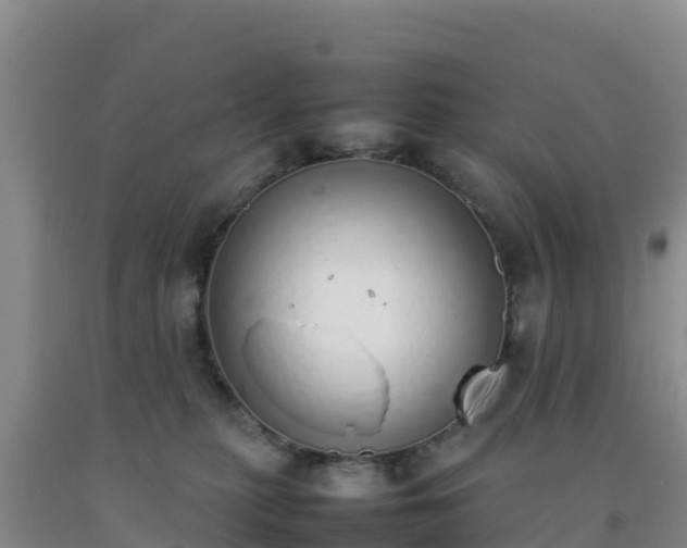 X0000092100279200709191313