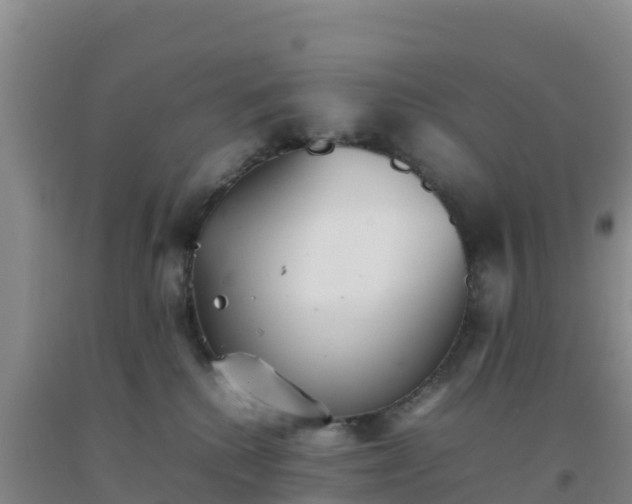 X0000092100280200709191313