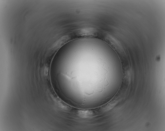 X0000092100281200709191313