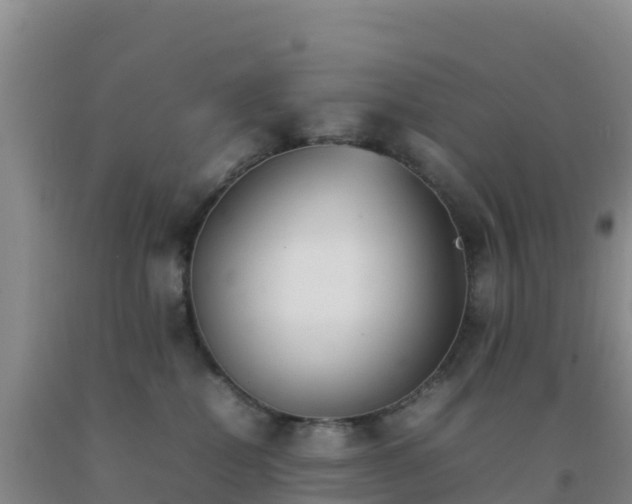 X0000092100282200709191313