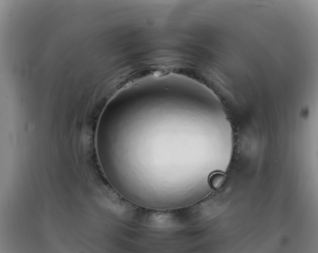 X0000092100283200709191313