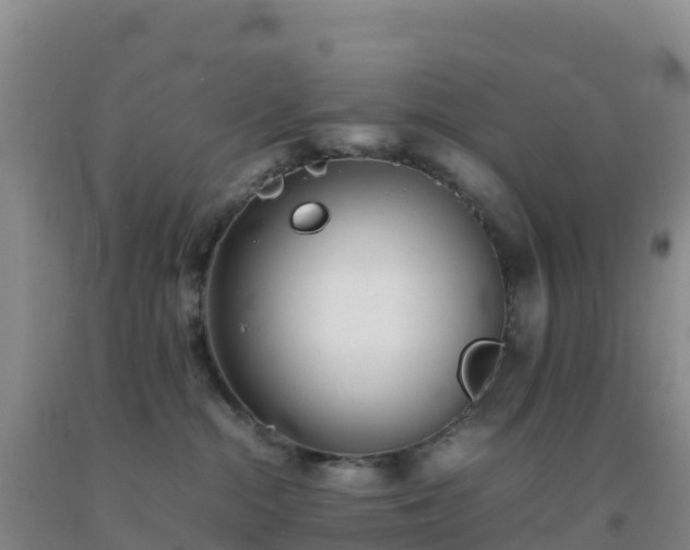 X0000092100284200709191313