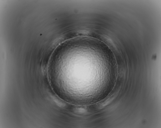 X0000092100285200709191313