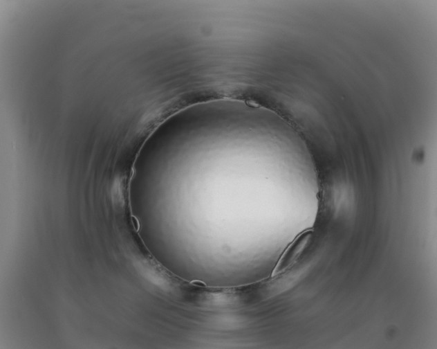 X0000092100286200709191313