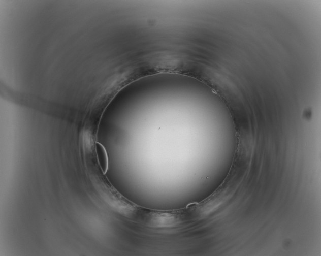 X0000092100287200709191313