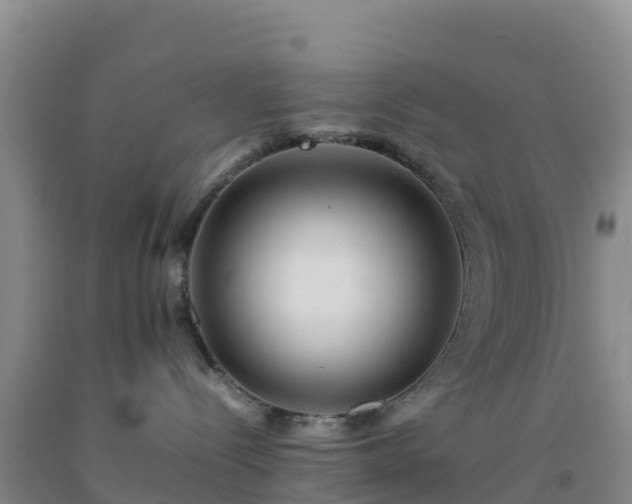 X0000092100288200709191313