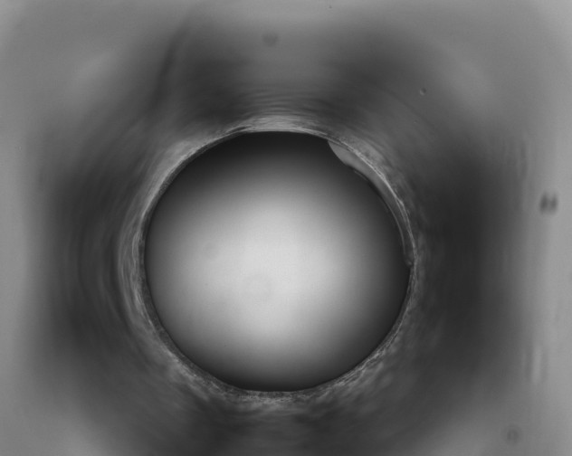 X0000092100289200709191313