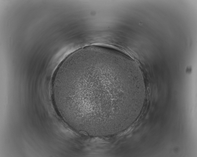 X0000092100290200709191313