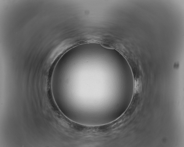 X0000092100291200709191312