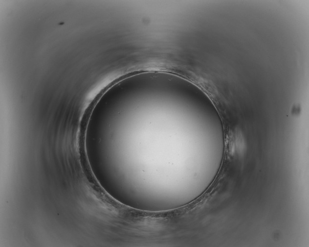 X0000092100292200709191312