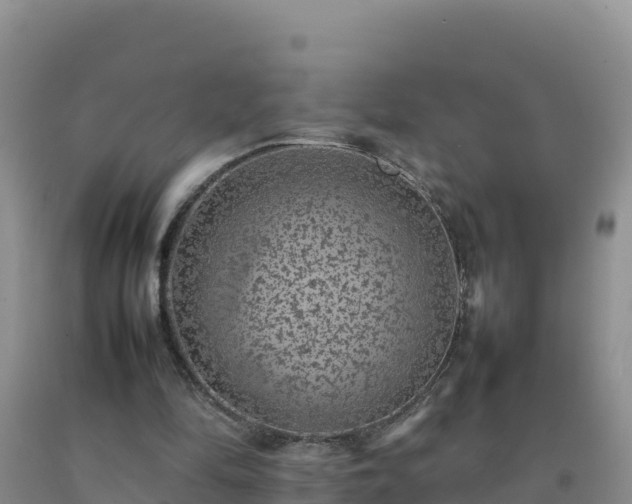 X0000092100294200709191312