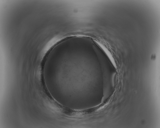 X0000092100295200709191312