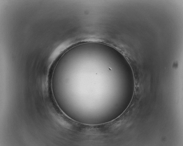 X0000092100296200709191312