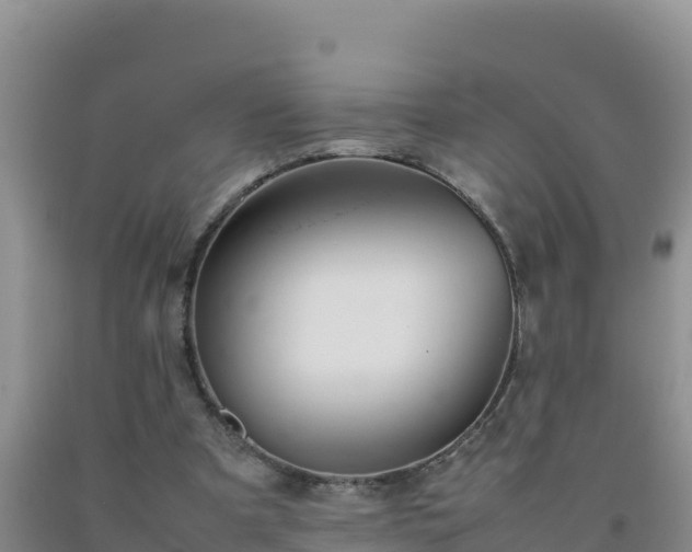 X0000092100297200709191312