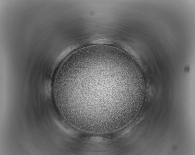 X0000092100298200709191312