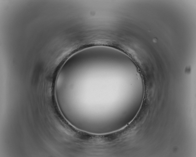 X0000092100299200709191312