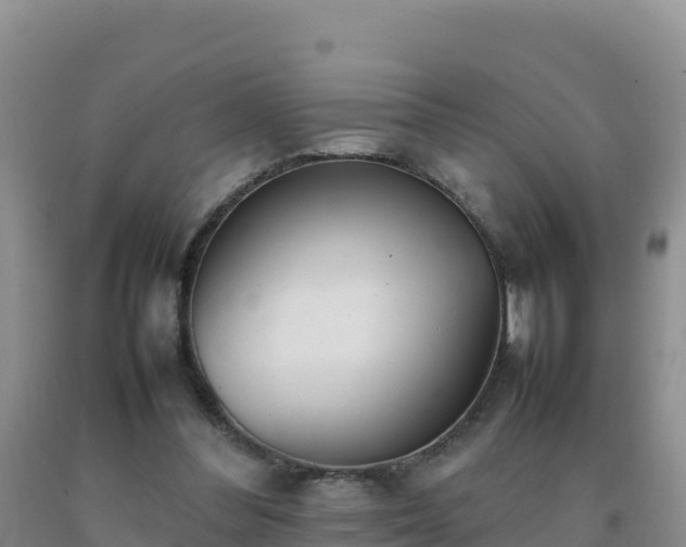 X0000092100300200709191312