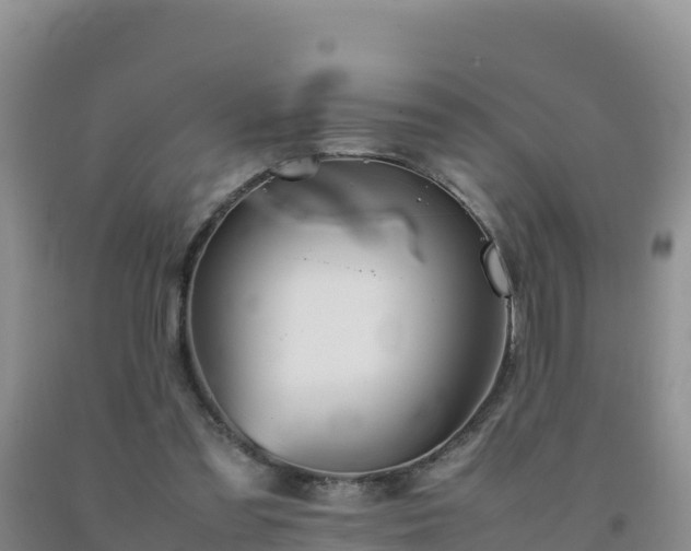 X0000092100301200709191312