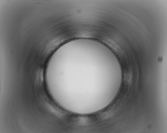 X0000092100302200709191312