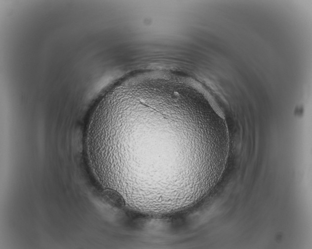 X0000092100303200709191312